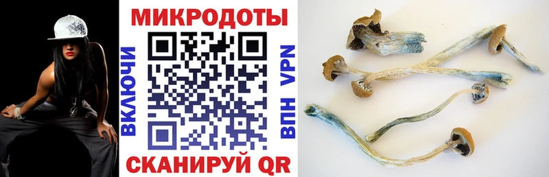 Галлюциногенные грибы Psilocybine cubensis  Купить  Оленегорск 